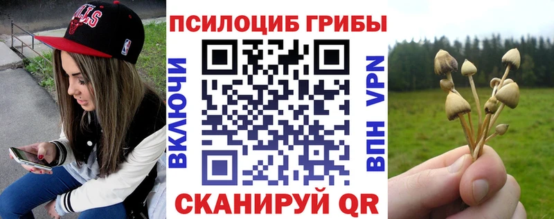 ссылка на мегу   Ирбит  Псилоцибиновые грибы Psilocybe  магазин продажи наркотиков 