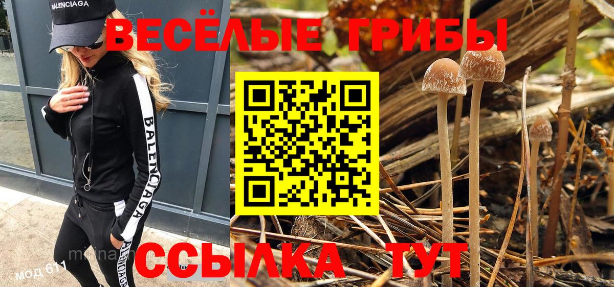 Галлюциногенные грибы Magic Shrooms  Вход с VPN  Ирбит 