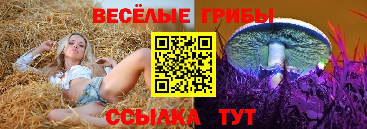 Псилоцибиновые грибы прущие грибы Ирбит